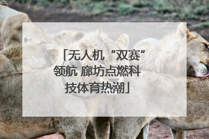 无人机“双赛”领航 廊坊点燃科技体育热潮