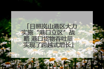 日照岚山港区大力实施“港口立区”战略 港口货物吞吐量实现了跨越式增长