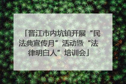 晋江市内坑镇开展“民法典宣传月”活动暨“法律明白人”培训会