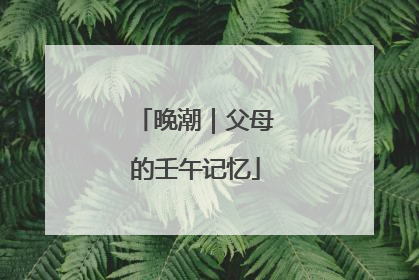 晚潮｜父母的壬午记忆