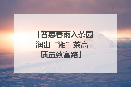 普惠春雨入茶园 润出“湘”茶高质量致富路