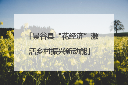 景谷县“花经济”激活乡村振兴新动能