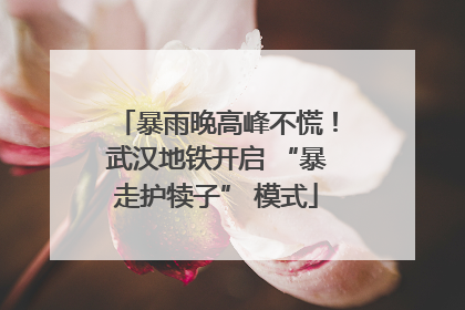 暴雨晚高峰不慌！武汉地铁开启 “暴走护犊子” 模式