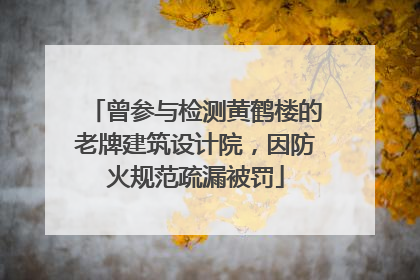 曾参与检测黄鹤楼的老牌建筑设计院，因防火规范疏漏被罚