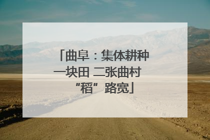 曲阜：集体耕种一块田 二张曲村“稻”路宽