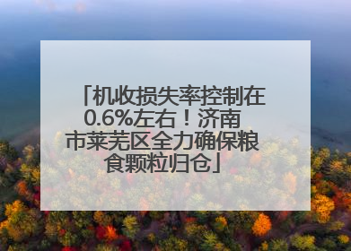 机收损失率控制在0.6%左右！济南市莱芜区全力确保粮食颗粒归仓