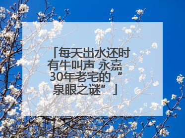 每天出水还时有牛叫声 永嘉30年老宅的“泉眼之谜”