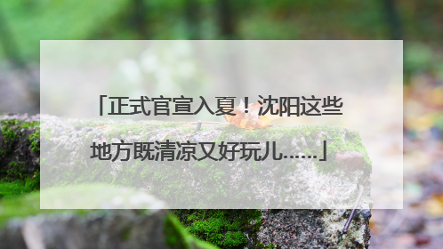 正式官宣入夏！沈阳这些地方既清凉又好玩儿……