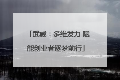 武威：多维发力 赋能创业者逐梦前行