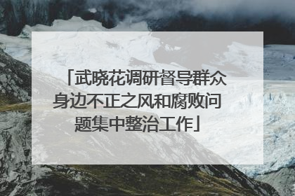 武晓花调研督导群众身边不正之风和腐败问题集中整治工作
