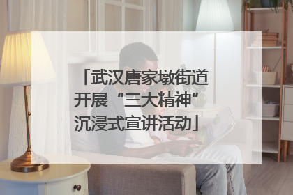 武汉唐家墩街道开展“三大精神”沉浸式宣讲活动