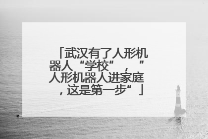 武汉有了人形机器人“学校”，“人形机器人进家庭，这是第一步”