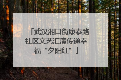 武汉湘口街康泰路社区文艺汇演传递幸福“夕阳红”