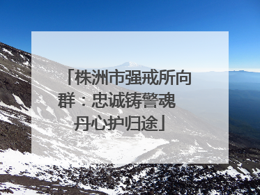 株洲市强戒所向群：忠诚铸警魂 丹心护归途