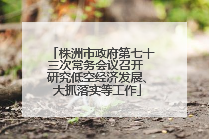 株洲市政府第七十三次常务会议召开 研究低空经济发展、大抓落实等工作