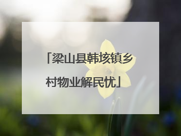 梁山县韩垓镇乡村物业解民忧