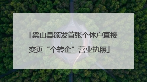 梁山县颁发首张个体户直接变更“个转企”营业执照