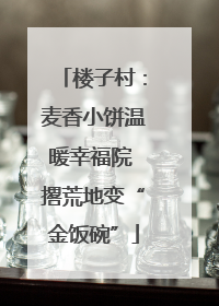 楼子村：麦香小饼温暖幸福院 撂荒地变“金饭碗”