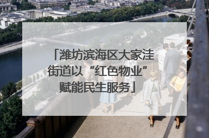 潍坊滨海区大家洼街道以“红色物业”赋能民生服务