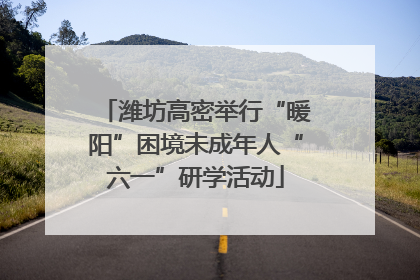 潍坊高密举行“暖阳”困境未成年人“六一”研学活动