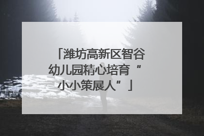 潍坊高新区智谷幼儿园精心培育“小小策展人”
