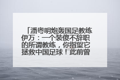 潘粤明炮轰国足教练伊万：一个装傻不辞职的所谓教练，你指望它拯救中国足球！此前曾多次发文评价国足