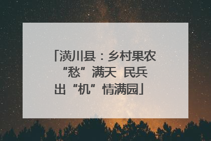 潢川县：乡村果农“愁”满天  民兵出“机”情满园