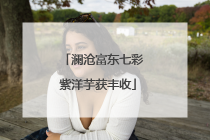 澜沧富东七彩紫洋芋获丰收