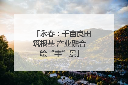永春：千亩良田筑根基 产业融合绘“丰”景