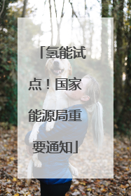 氢能试点！国家能源局重要通知
