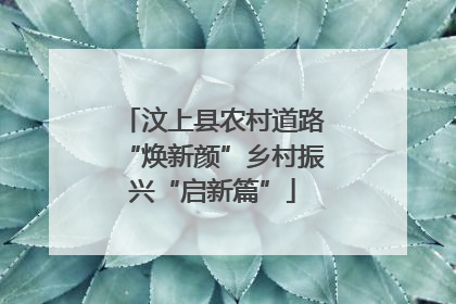 汶上县农村道路“焕新颜”乡村振兴“启新篇”