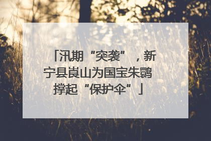 汛期“突袭”，新宁县崀山为国宝朱鹮撑起“保护伞”
