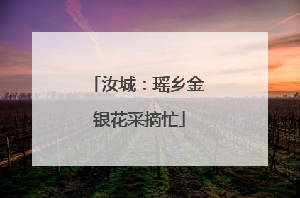 汝城：瑶乡金银花采摘忙
