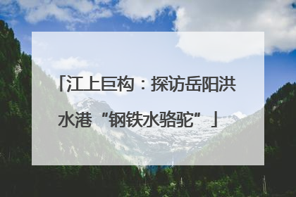 江上巨构：探访岳阳洪水港“钢铁水骆驼”