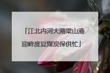 江北内河大港梁山港迎峰度夏煤炭保供忙