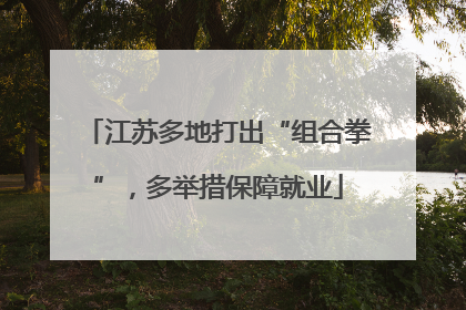 江苏多地打出“组合拳”，多举措保障就业