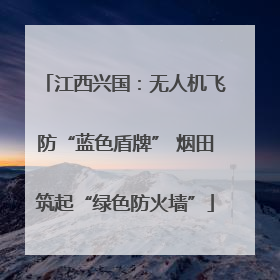 江西兴国：无人机飞防“蓝色盾牌” 烟田筑起“绿色防火墙”