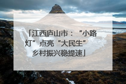 江西庐山市：“小路灯”点亮“大民生” 乡村振兴稳提速