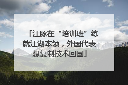 江豚在“培训班”练就江湖本领，外国代表想复制技术回国