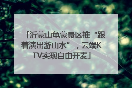 沂蒙山龟蒙景区推“跟着演出游山水”，云端KTV实现自由开麦