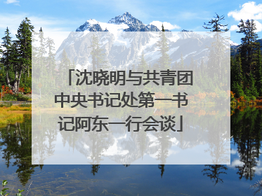 沈晓明与共青团中央书记处第一书记阿东一行会谈