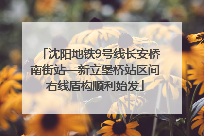 沈阳地铁9号线长安桥南街站—新立堡桥站区间右线盾构顺利始发