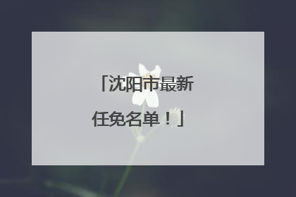沈阳市最新任免名单！