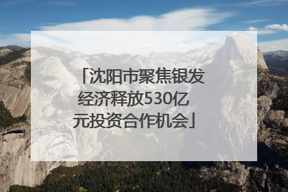 沈阳市聚焦银发经济释放530亿元投资合作机会