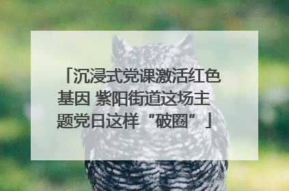 沉浸式党课激活红色基因 紫阳街道这场主题党日这样“破圈”