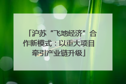 沪苏“飞地经济”合作新模式：以重大项目牵引产业链升级