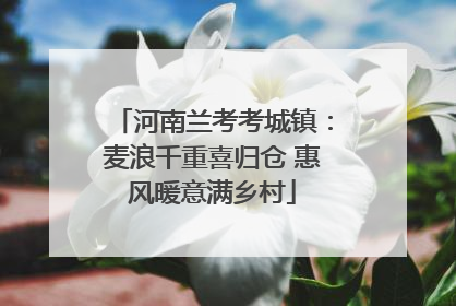 河南兰考考城镇：麦浪千重喜归仓 惠风暖意满乡村