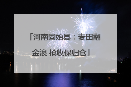 河南固始县：麦田翻金浪 抢收保归仓