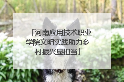 河南应用技术职业学院文明实践助力乡村振兴显担当