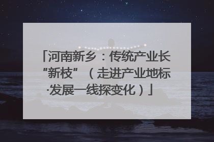 河南新乡：传统产业长“新枝”（走进产业地标·发展一线探变化）
